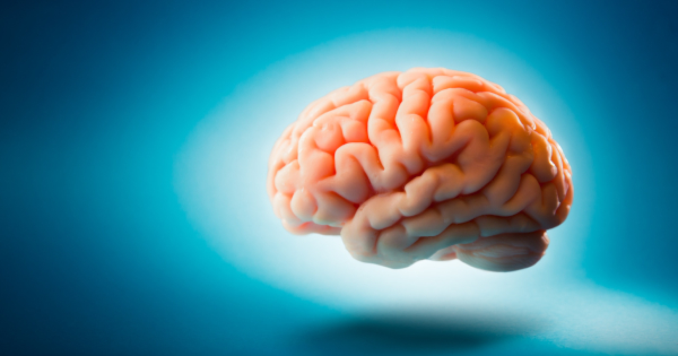 Healing the Blood-Brain Barrier: Natural Compounds Show Promise  