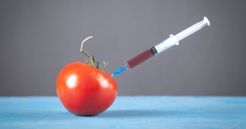 Whole Foods Betrays Its Non-GMO Roots: The Impossible Foods Controversy