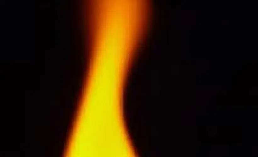 The Flame of Cell Life-Death In The Miracle of Regeneration