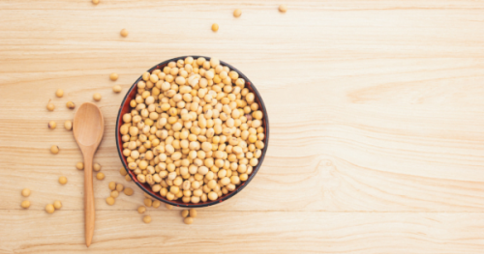 Rediscovering the Lost Art of Soy Preparation: Minimizing Excessive Plant Estrogen Exposure