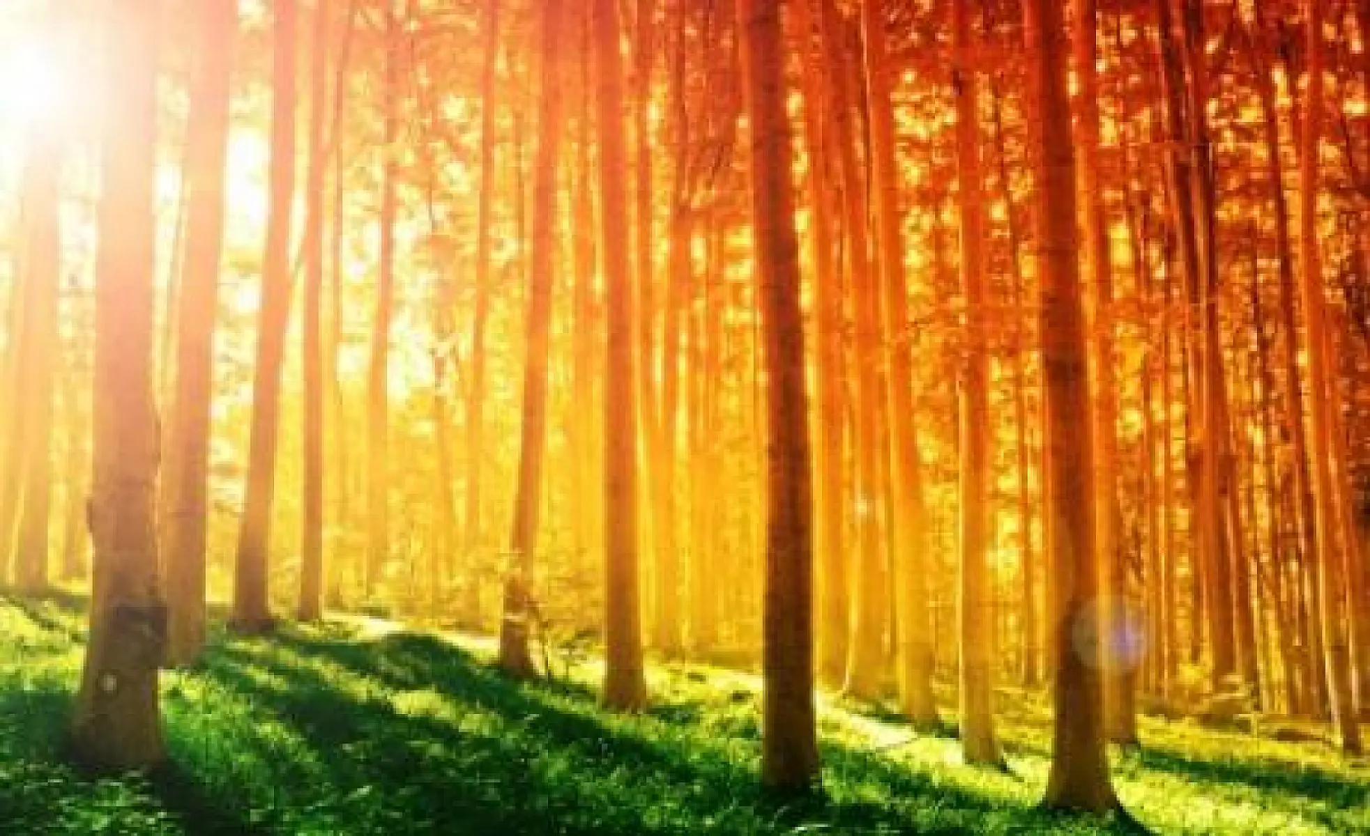 5 Amazing Properties of Sunlight You've Never Heard About