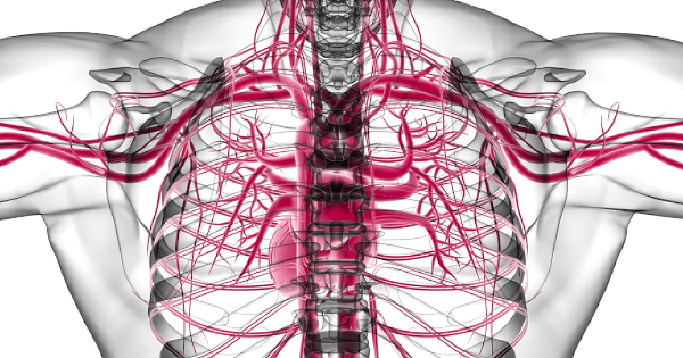 Reversing Clogged Arteries Naturally: The Untapped Potential of 370 Substances