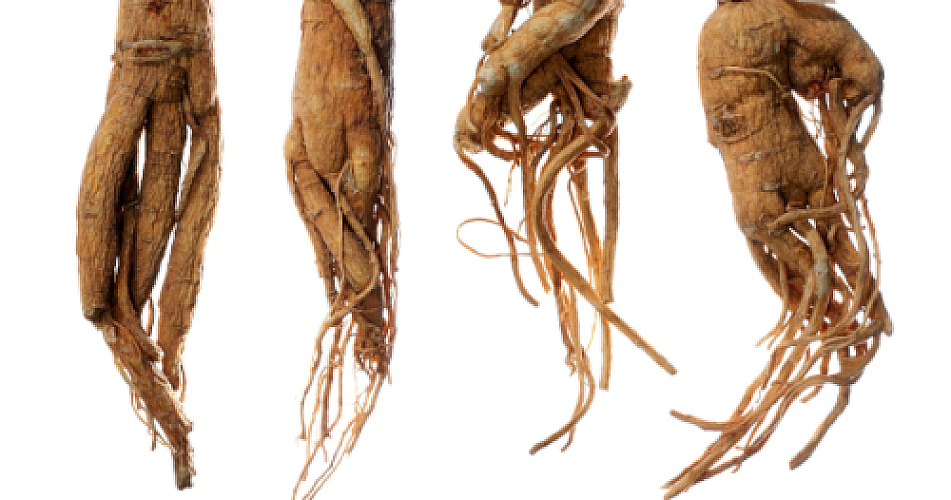 Drinking American Ginseng Tea May Rapidly Protect Your DNA, Study Finds
