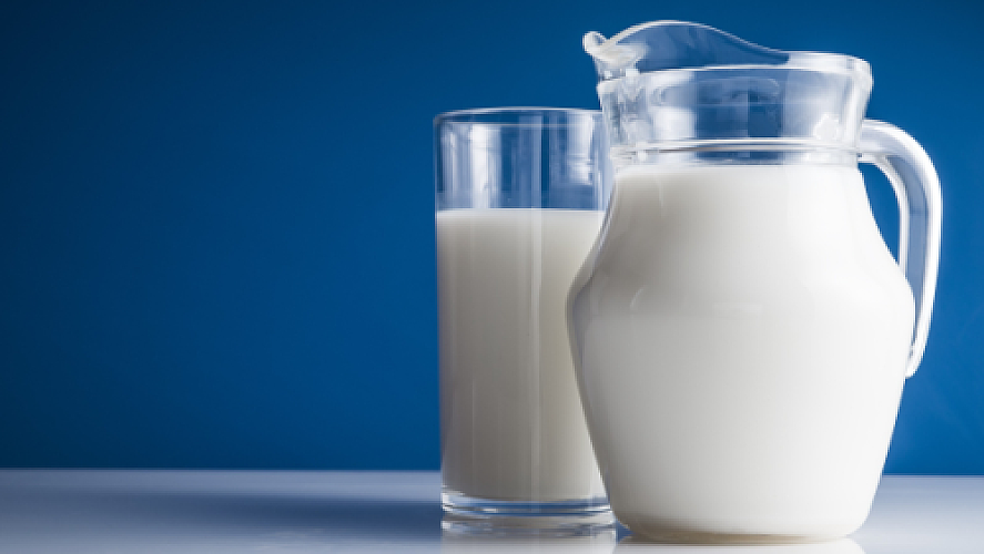 Cow's Milk: The Addictive, Toxic Beverage Masquerading as a Health Food