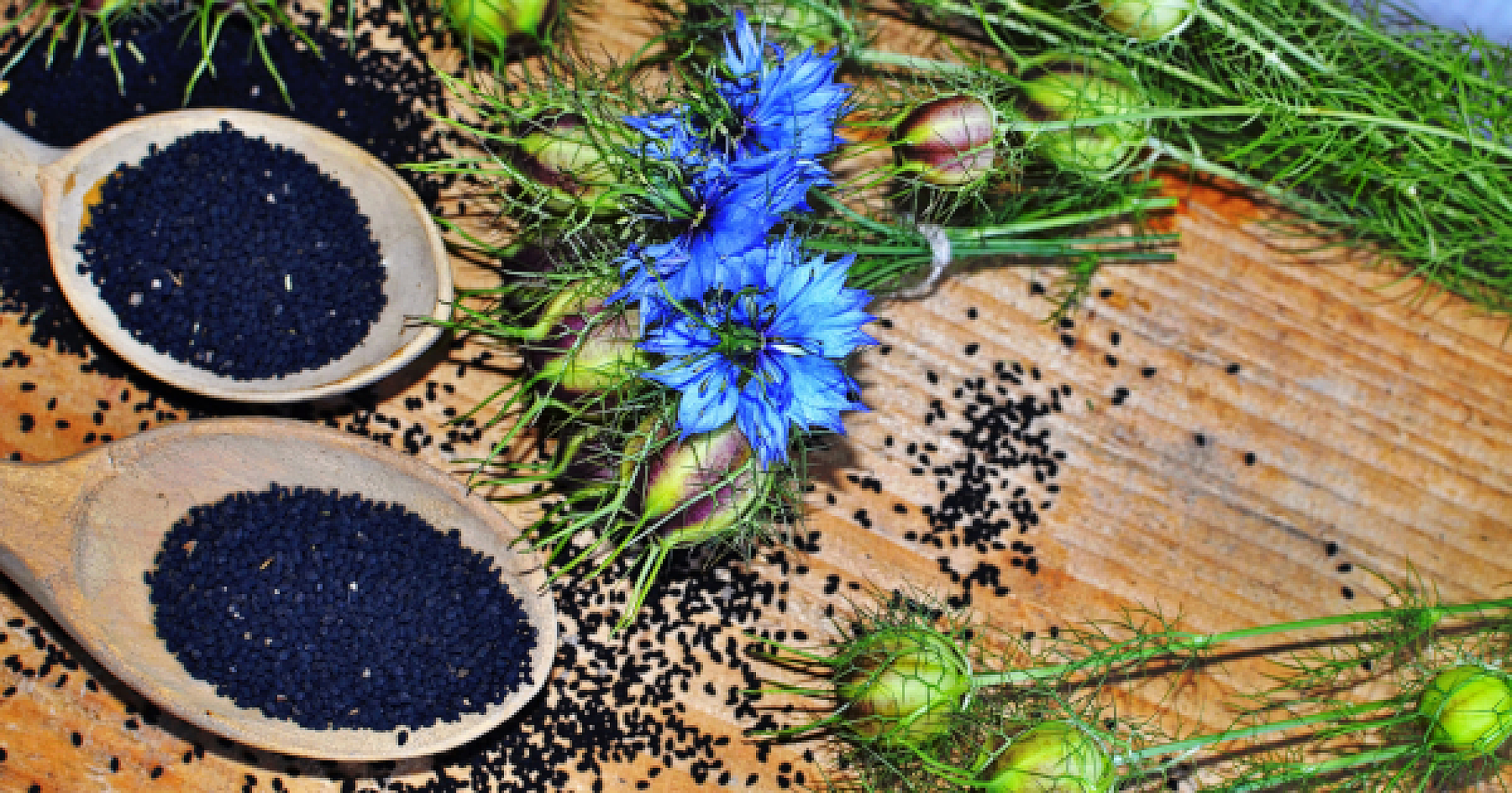 Ancient Remedy Beats Steroids in Oral Lichen Planus Treatment