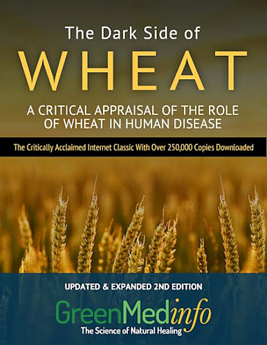 From Controversy to Consensus: The 16th Anniversary of Sayer Ji's 'The Dark Side of Wheat'