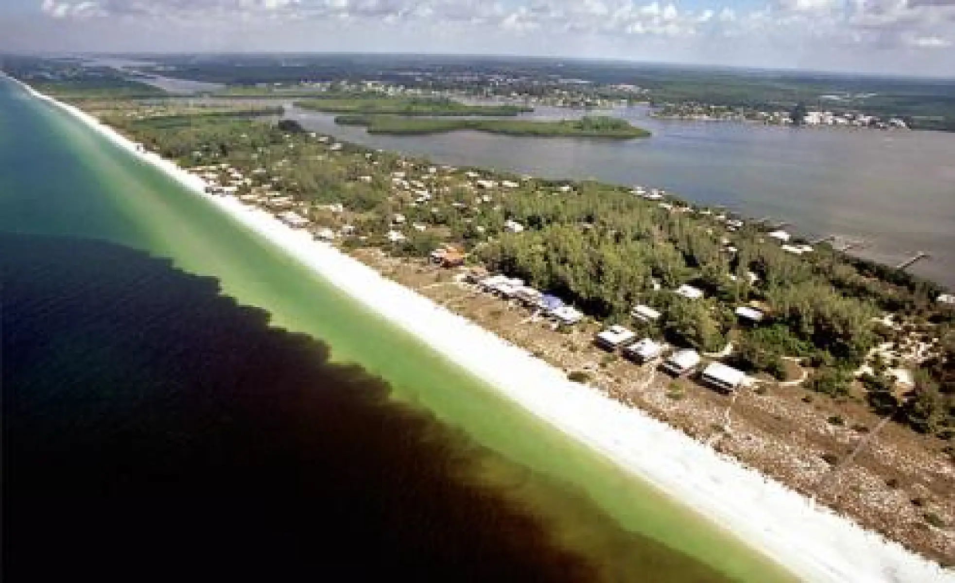 The Truth About Red Tide's Manmade Causes and Health Effects