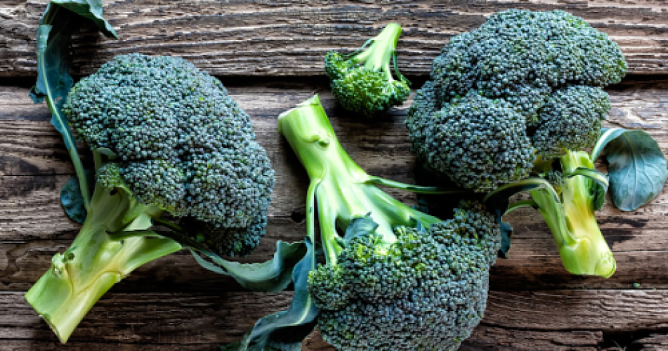 Nature's Answer to Autism: The Broccoli Compound Challenging Medical Dogma