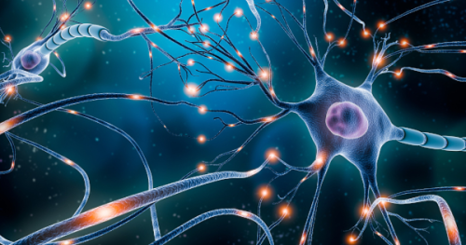 The Autism Controversy: Navigating Research, Treatment, and Neurodiversity