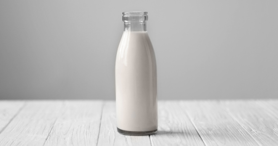 Rethinking Lactose Intolerance: Is A1 β-Casein the Real Culprit?
