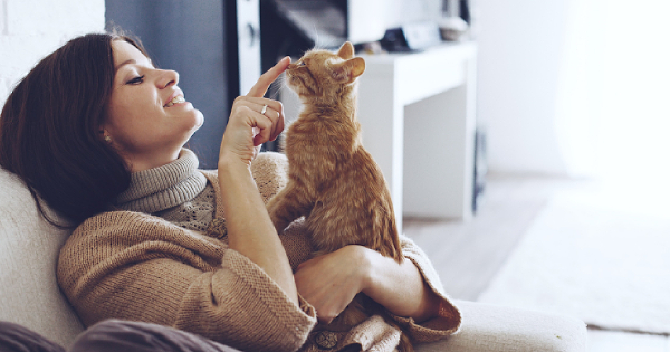 Groundbreaking Study Shows 100% Success Rate in Treating Feline Kidney Disease with Magnesium