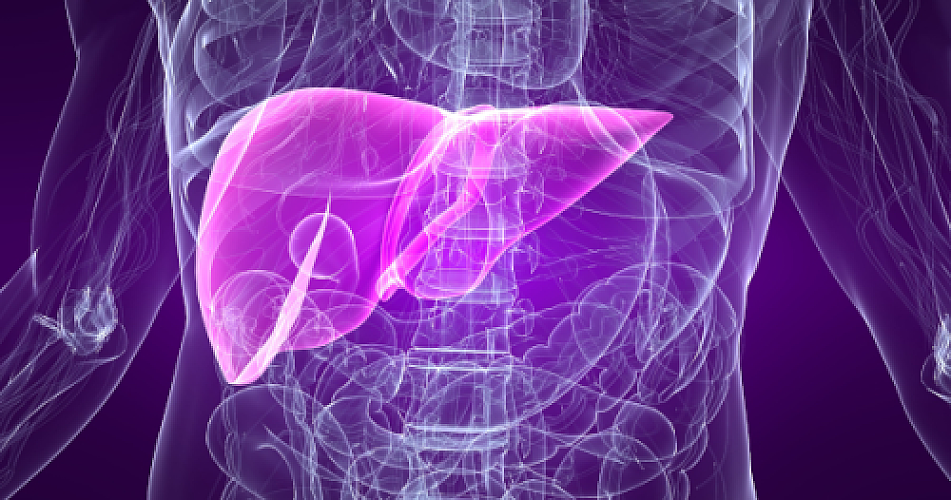 The Hepatitis C Treatment Big Pharma Doesn't Want You to Know About: A Natural Cure Hidden in Plain Sight