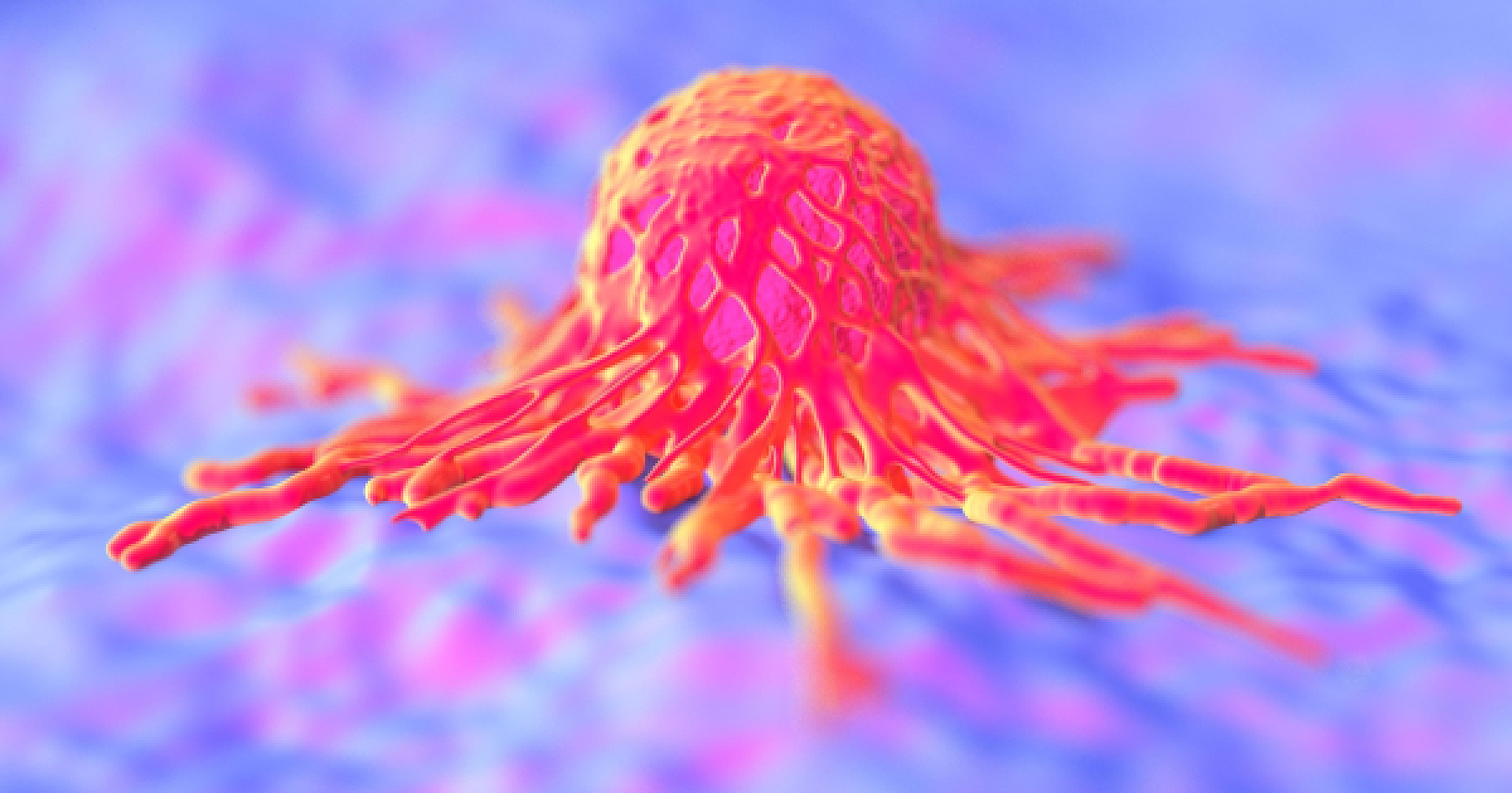 Nature's Cancer-Fighting Arsenal: How Plant Compounds Target Highly Malignant Cancer Stem Cells