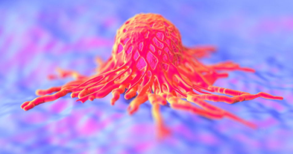 Nature's Cancer-Fighting Arsenal: How Plant Compounds Target Highly Malignant Cancer Stem Cells