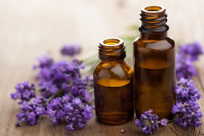 Lavender Is Effective Against Drug Resistant Staph Infection