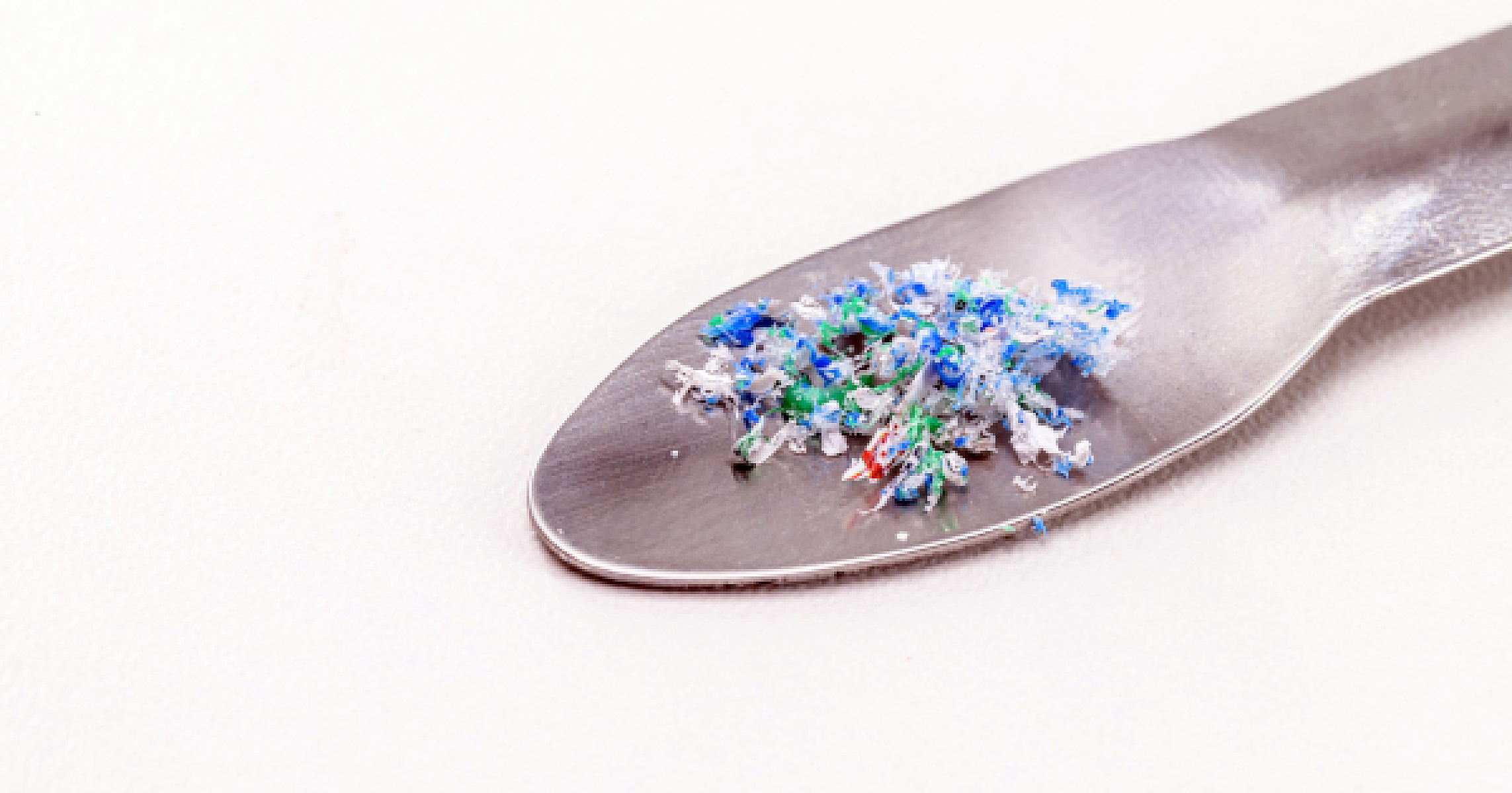 Plastic on the Brain: Groundbreaking Study Detects Microplastics in Human Olfactory Bulbs for the First Time