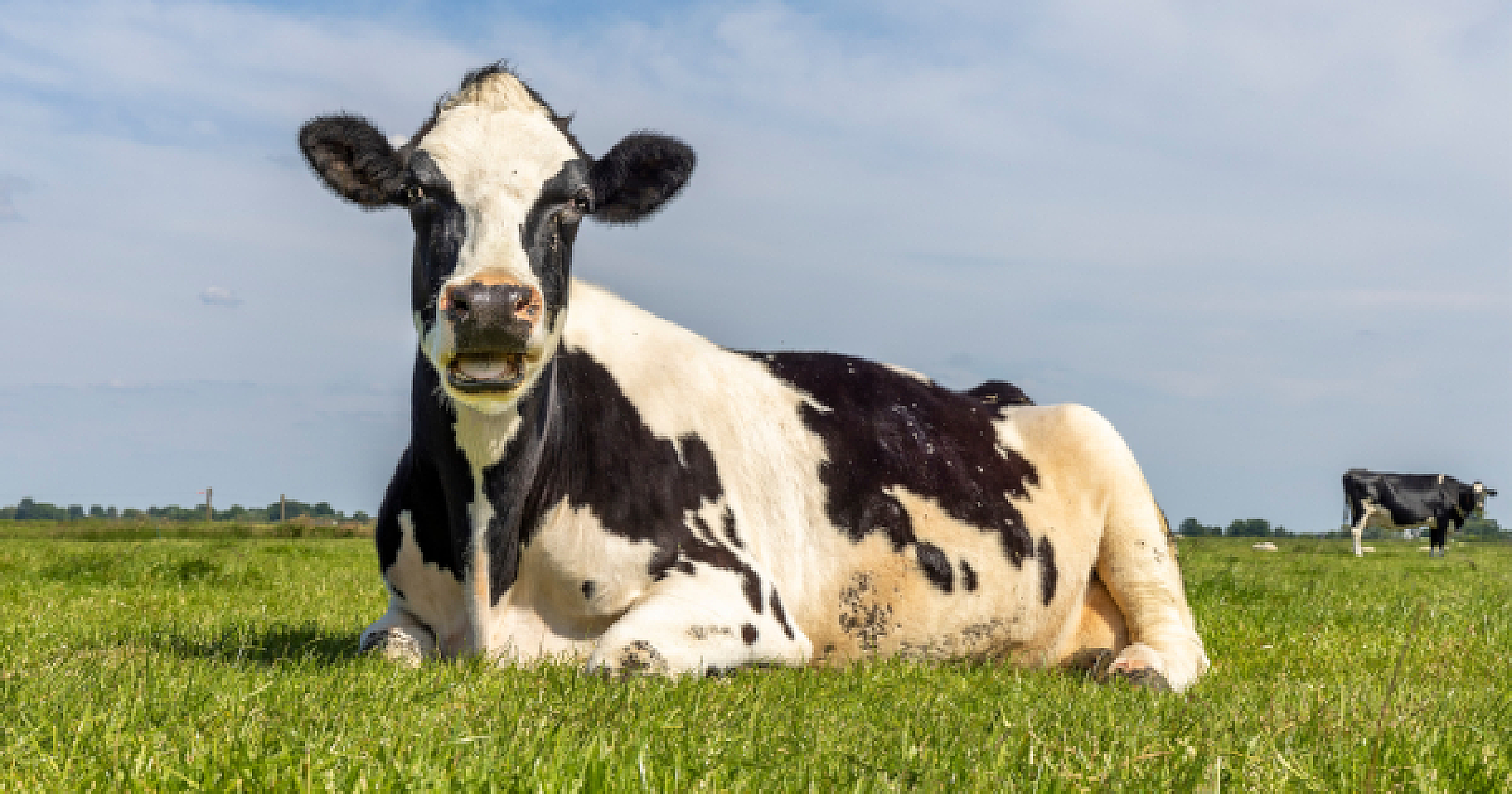 Colostrum Outperforms Flu Shots 3x: A Natural Revolution in Influenza Prevention Ignored and Suppressed
