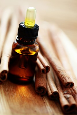 Can Cinnamon Oil Fight This Winter's Microbial Assault?