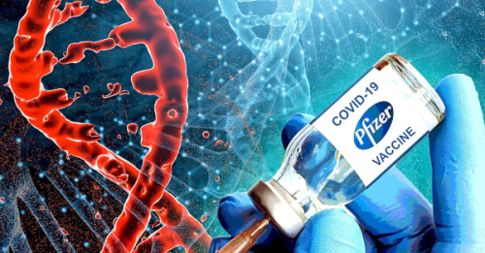 SV40 Contamination in Pfizer’s COVID-19 Vaccines: A Troubling Echo of the Polio Vaccine Scandal