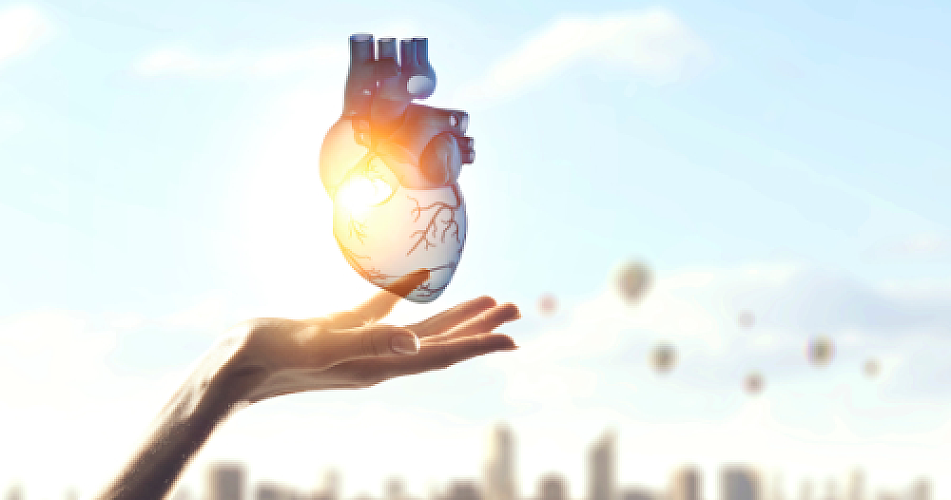 Nature's Heart Healers: New Research on Cardiac Regeneration Offers Hope Amid Rising Heart Concerns