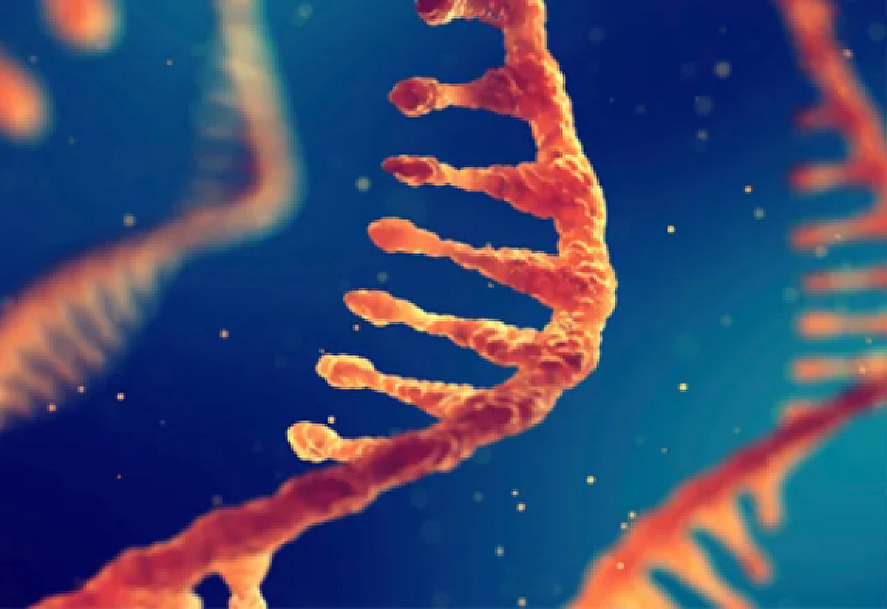 Announcing the Human Transcriptome Project: Unlocking the Hidden Language of Our Cells