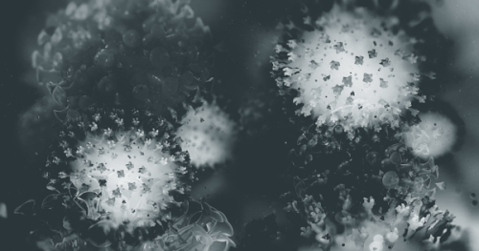 MAHA Research Priorities: Towards a Rational Protocol for Measles Treatment