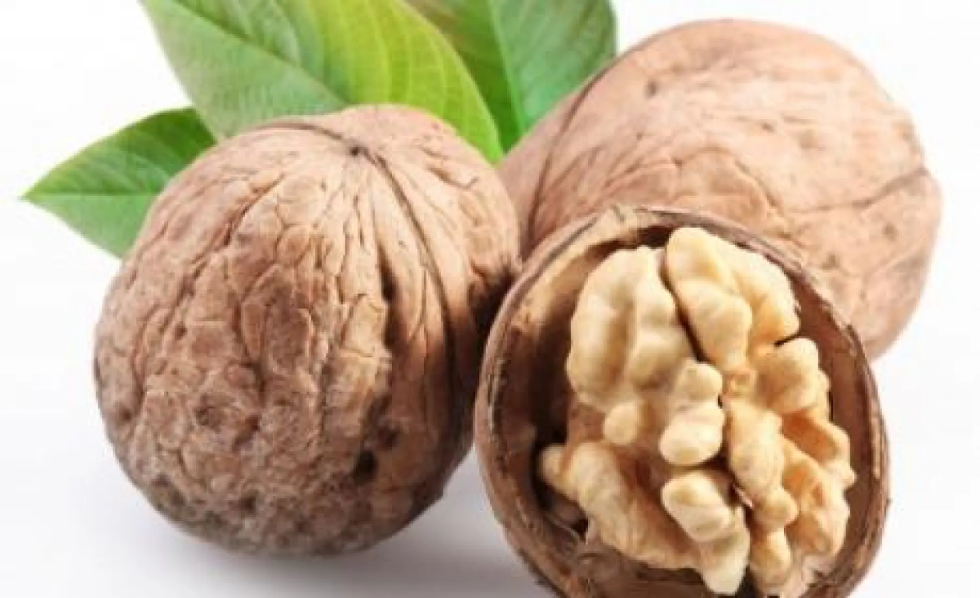 Walnuts Can Help You Beat Stress