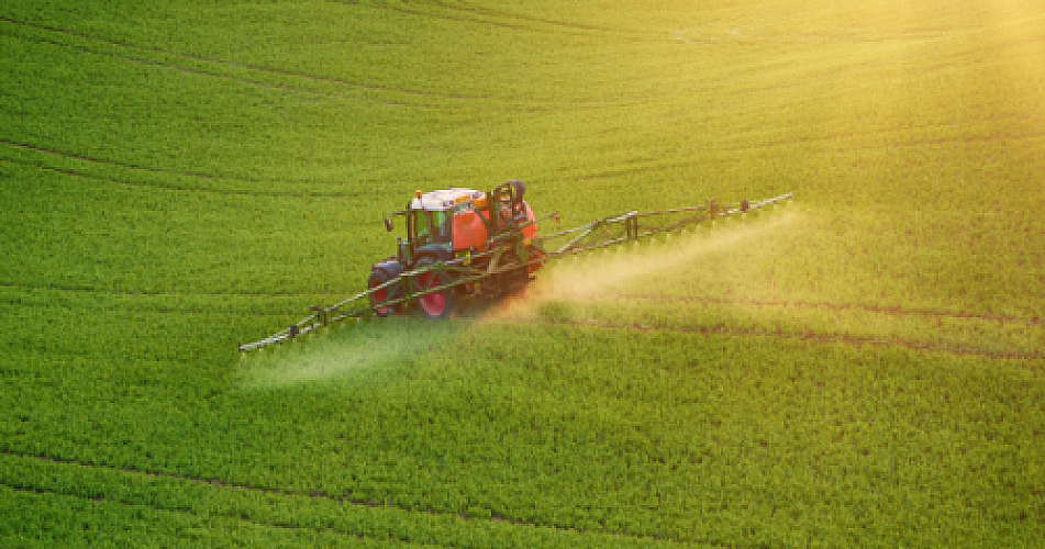 RFK Jr.'s Next Target: A Common Weedkiller