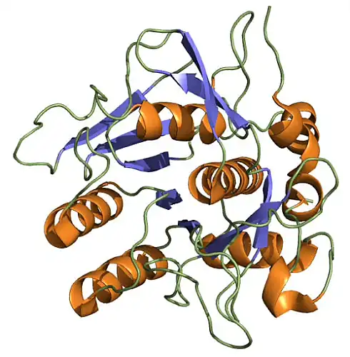 Nattokinase REVERSES Heart Disease--But Only If You Take Enough