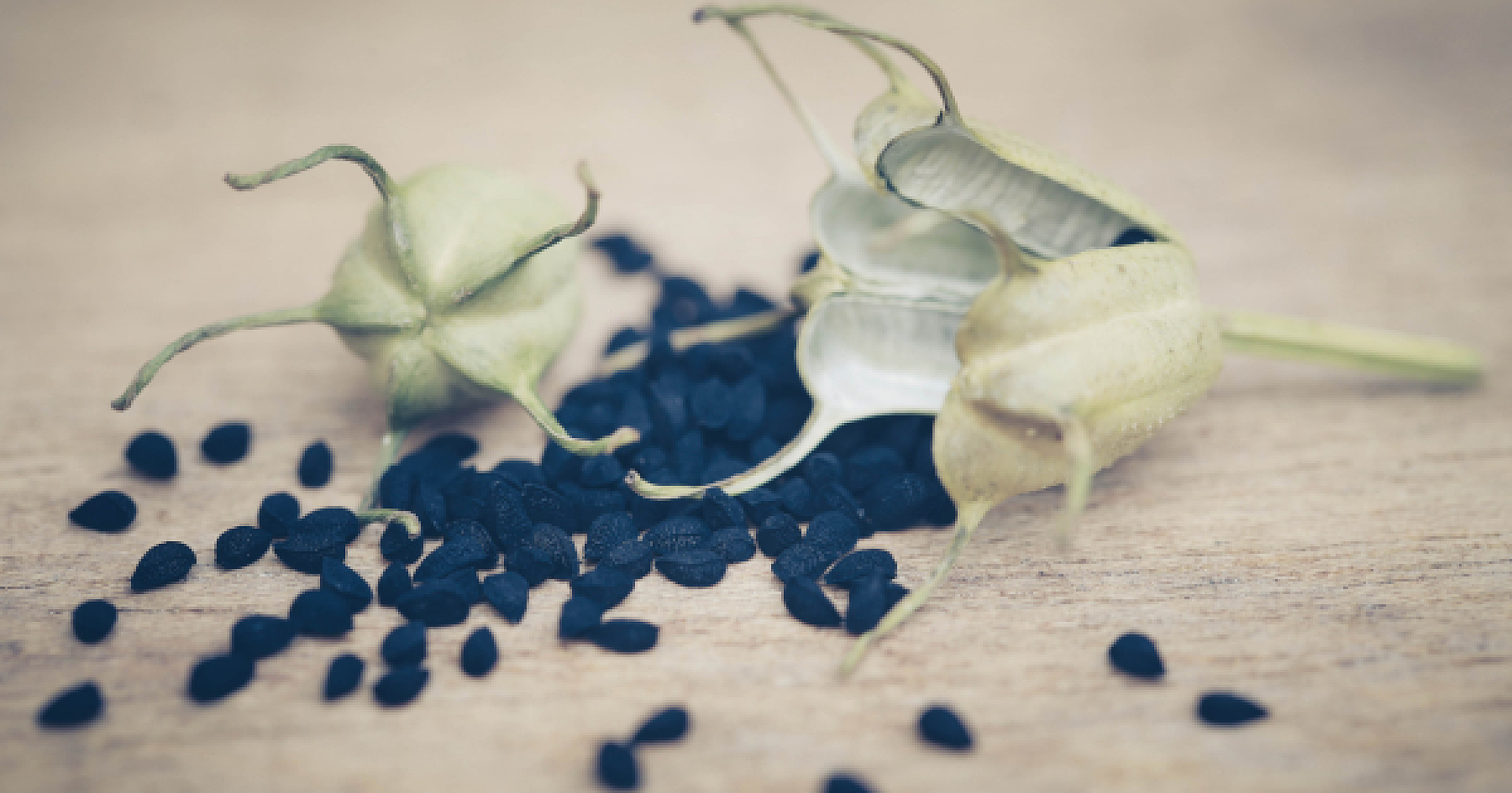 10 Compelling Reasons Why Black Seed May Be the New Natural HRT