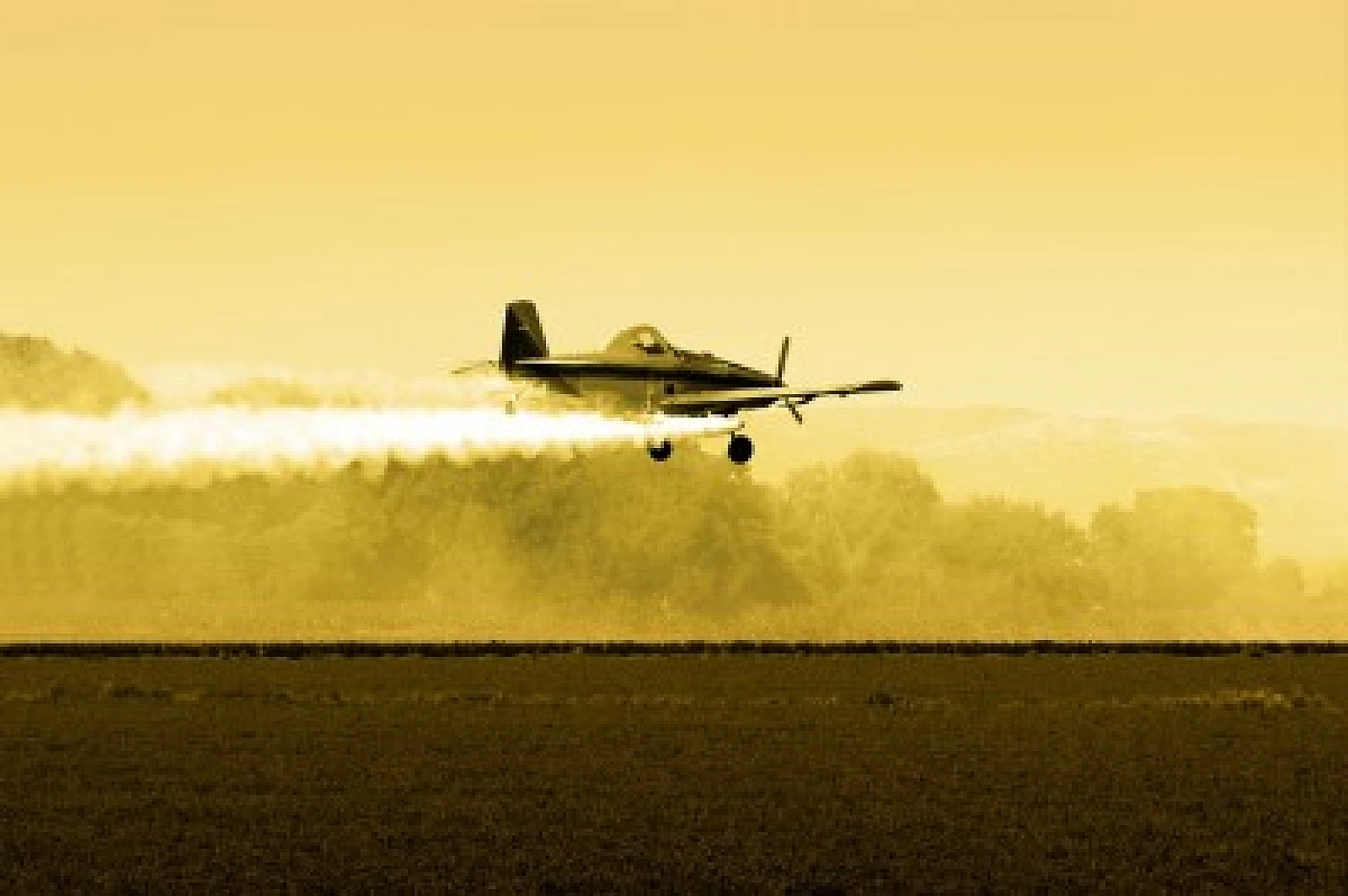 Pesticides May Increase Risk of ADHD in Children