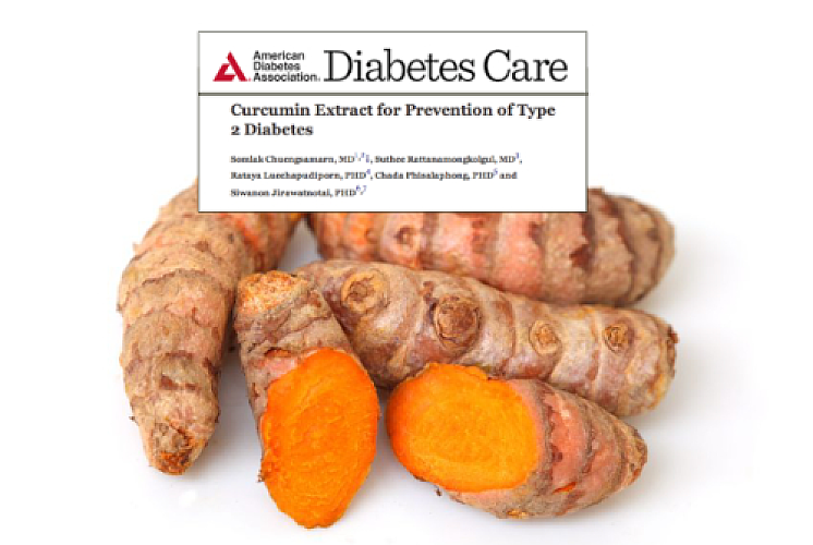 100% Diabetes Prevention Achieved Naturally - The Landmark Study Pharmaceutical Companies Don't Want You to Know About