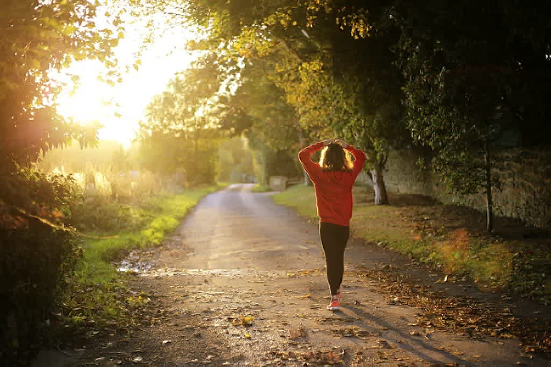 Why UVB--the Rare Slice of Sunlight That Programs Human Biology--May Be the Root Cause You've Never Considered