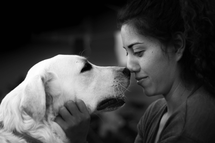 The Healing Power of Companionship: How Dogs May Influence Survival in Cancer Patients