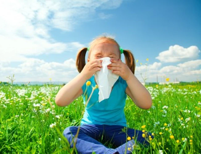 Nutrition Tips for Breezing Through Allergy Season