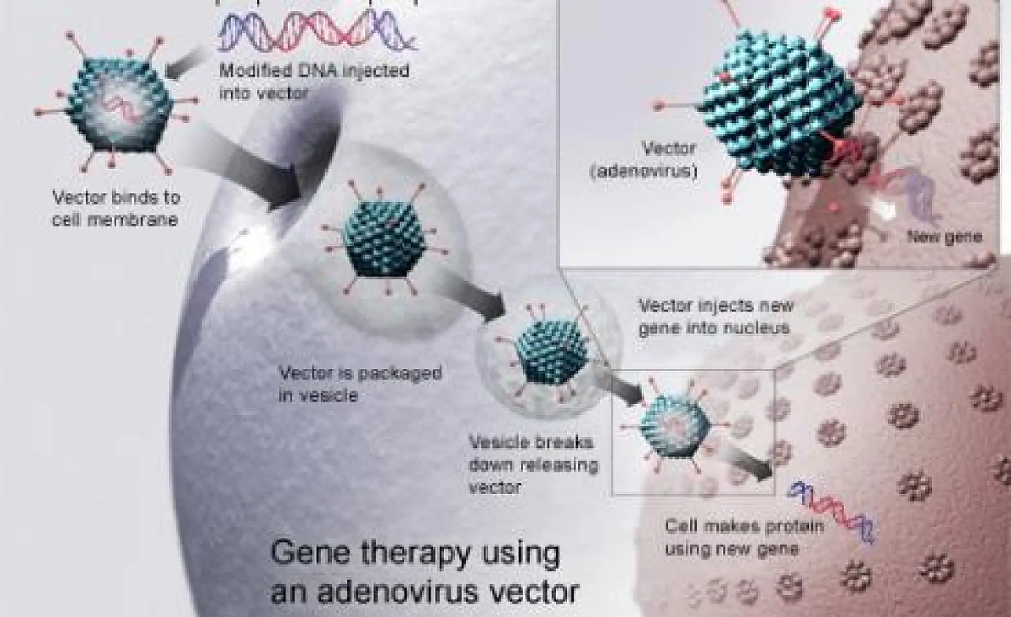 Vaccination Agenda: An Implicit Transhumanism / Dehumanism