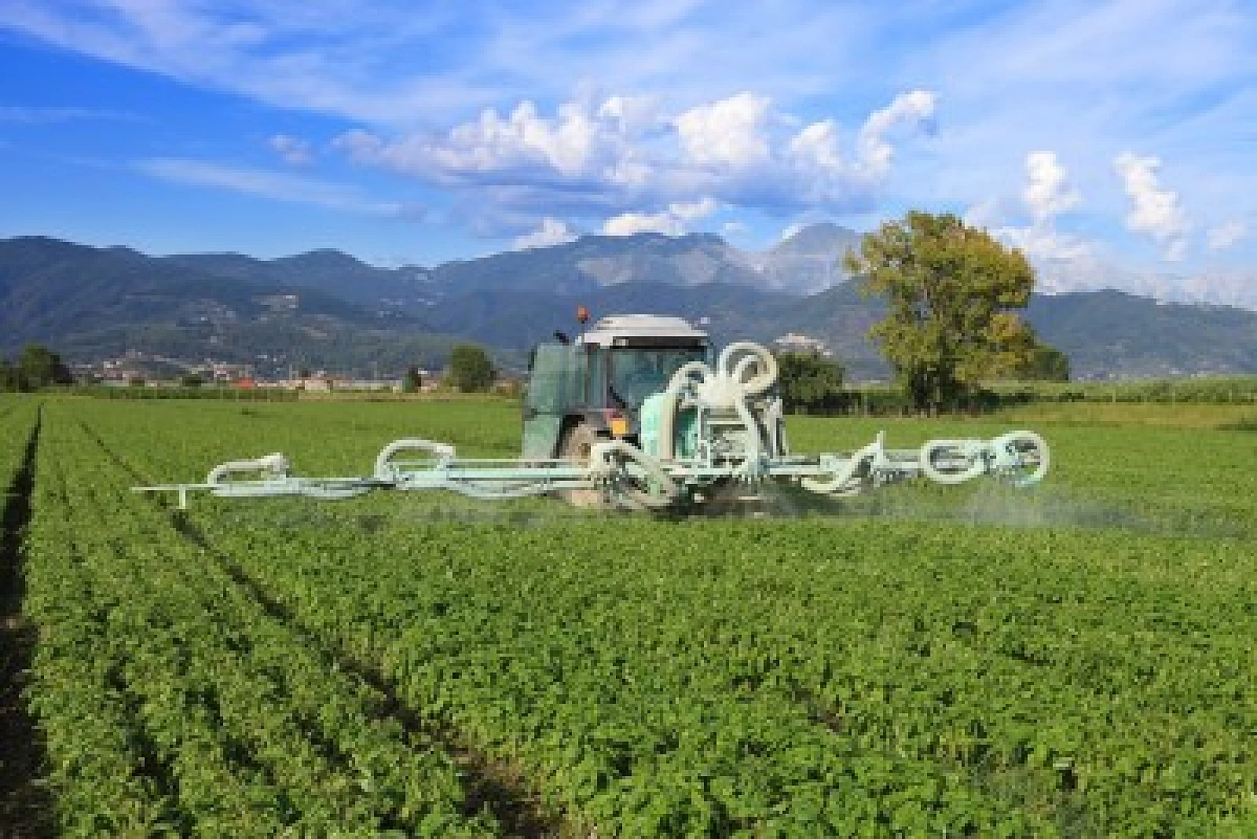How GMO Farming and Food Is Making Our Gut Flora UNFRIENDLY
