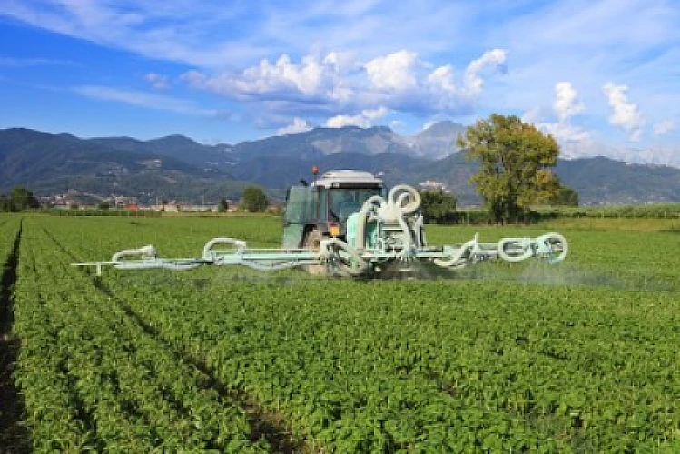 How GMO Farming and Food Is Making Our Gut Flora UNFRIENDLY