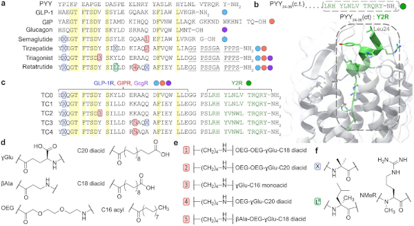 21eb1c95-3a04-4eab-8a4e-dd25da2e01c3_1800x983.jpg