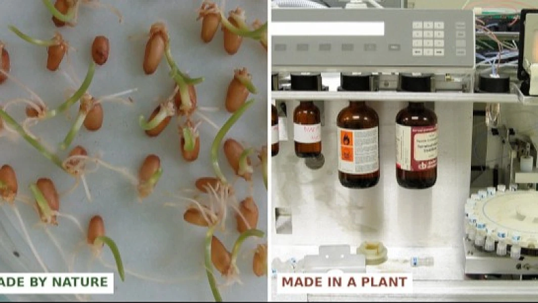 Made in a Reactor: The Chemical Truth Behind the “Natural” Peptide Craze