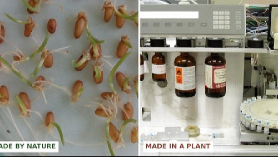 Made in a Reactor: The Chemical Truth Behind the “Natural” Peptide Craze