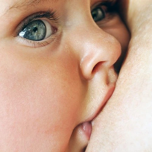 How Maternal Diet and Lifestyle Affects the Nutritional Value of Breast Milk