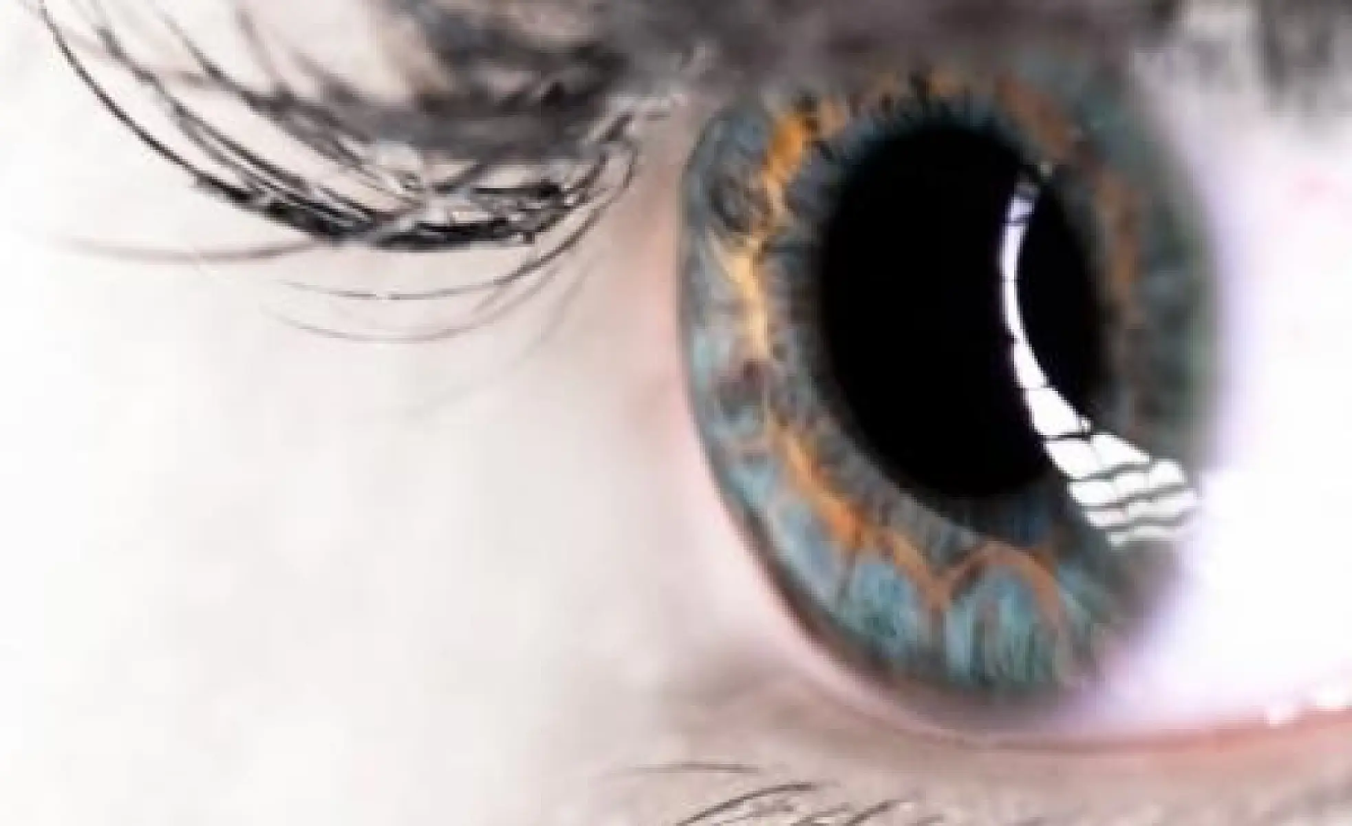 Best Kept Secrets to Prevent, Halt, or Even Reverse Macular Degeneration