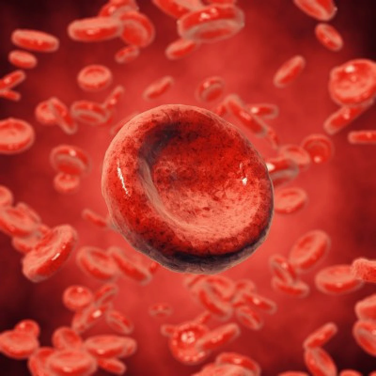 New Study Proves Bt Toxins in GMOs Toxic to Mammalian Blood