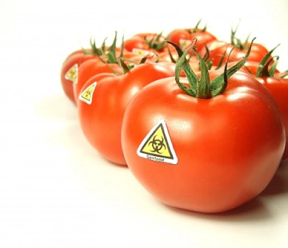 Why We Must Fight To Label GMOs