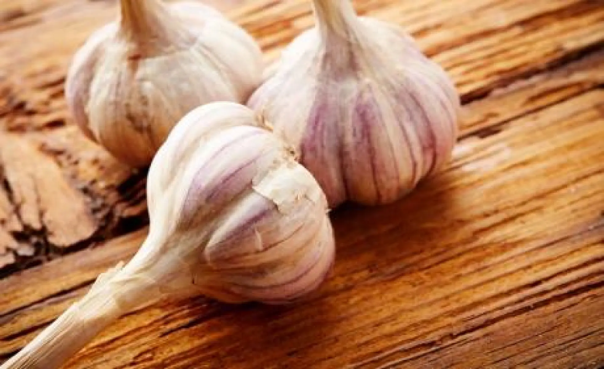 The Life-Saving Properties of Garlic Revealed