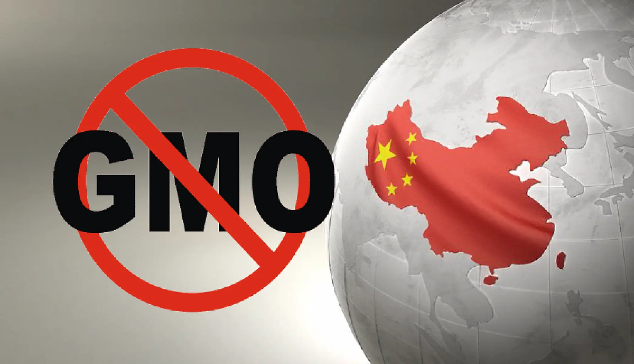 Breaking News: China Destroys 3 US Shipments of GM Corn