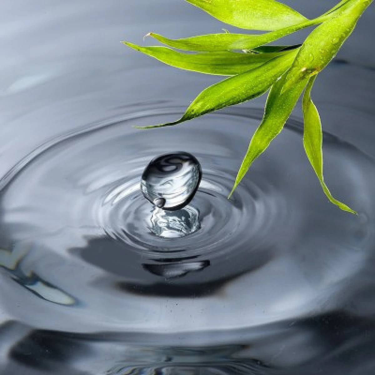 Your Ocean Within... Riding The Tide