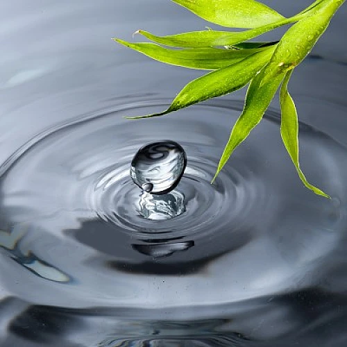 Your Ocean Within... Riding The Tide