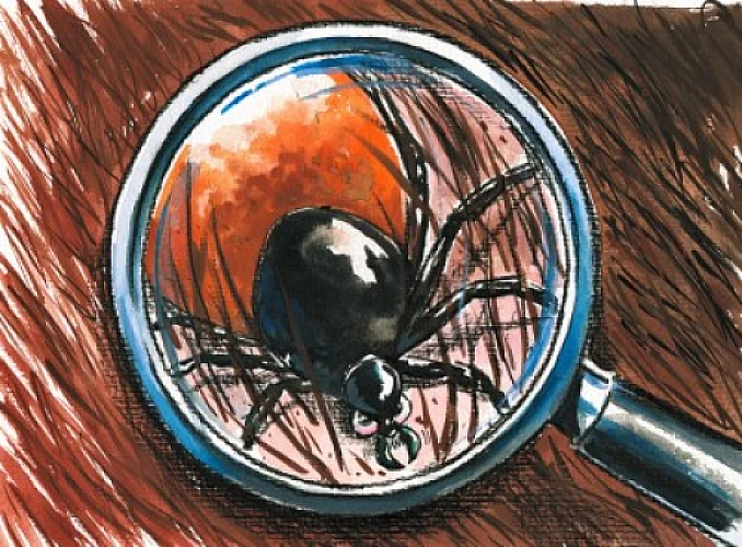 Lyme Disease, Morgellons Disease, and GMO Foods, All Connected?